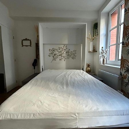 Casa Nostra - T1 - Terrasse Privative Apartment ตูลูส ภายนอก รูปภาพ