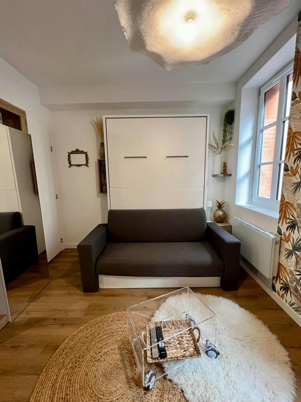 Casa Nostra - T1 - Terrasse Privative Apartment ตูลูส ภายนอก รูปภาพ