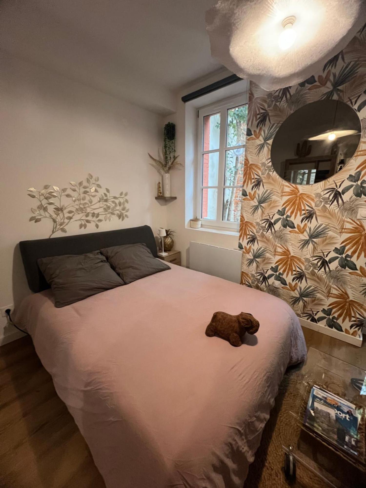 Casa Nostra - T1 - Terrasse Privative Apartment ตูลูส ภายนอก รูปภาพ