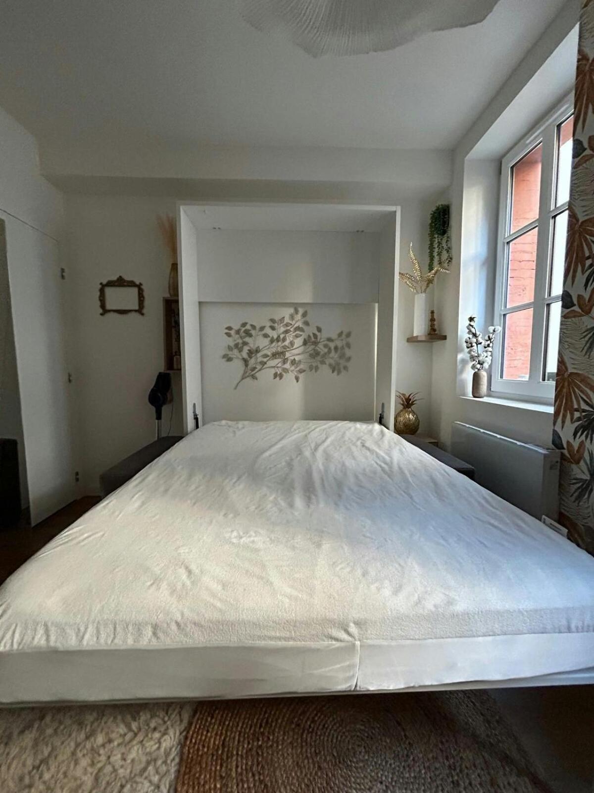 Casa Nostra - T1 - Terrasse Privative Apartment ตูลูส ภายนอก รูปภาพ